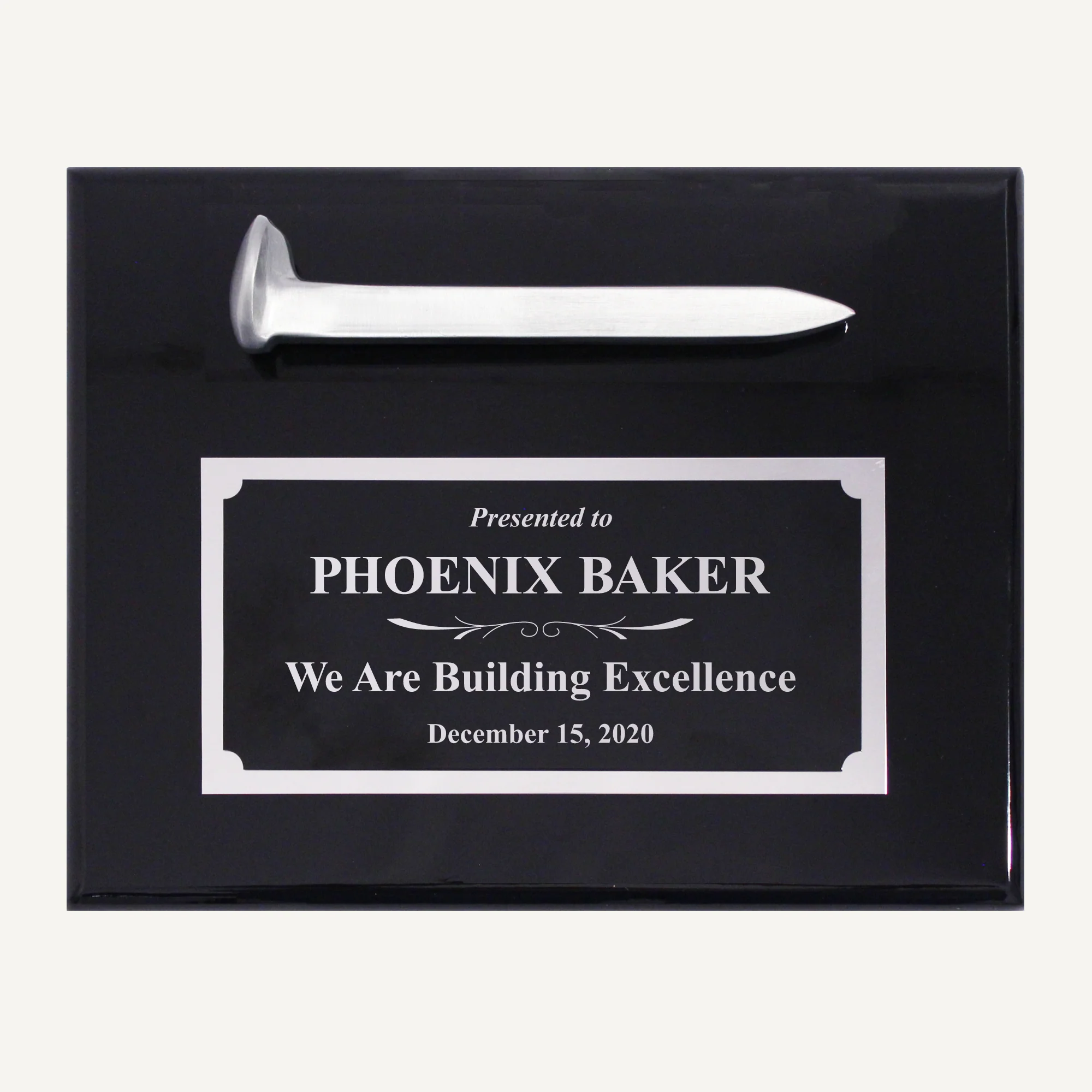 Satin Silver Ceremonial Railroad Spikes Plaques - Image 3