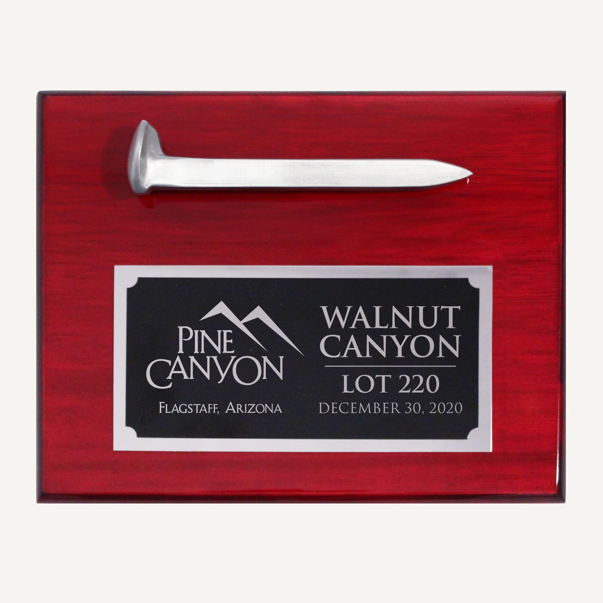 Satin Silver Ceremonial Railroad Spikes Plaques - Image 4