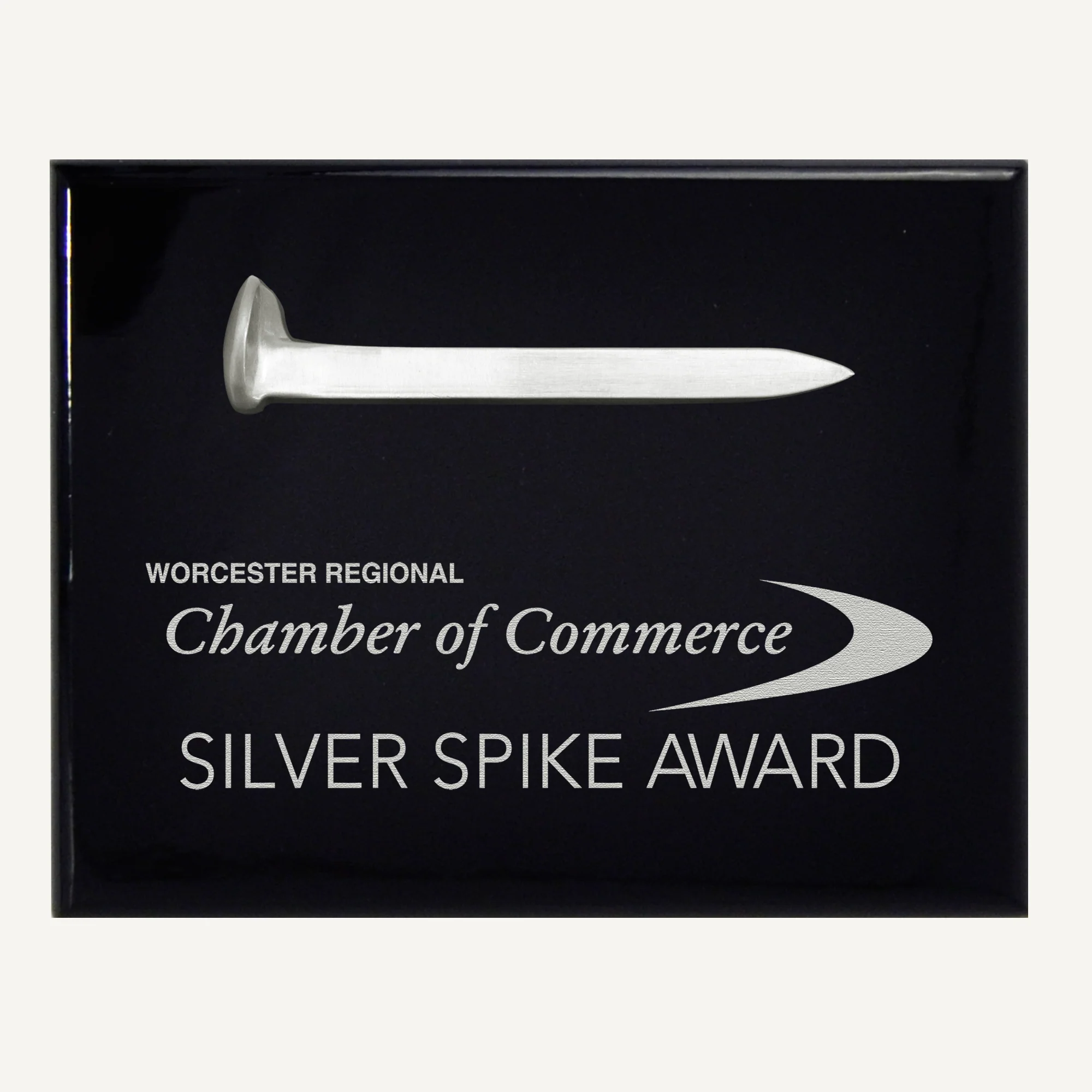 Satin Silver Ceremonial Railroad Spikes Plaques - Image 7