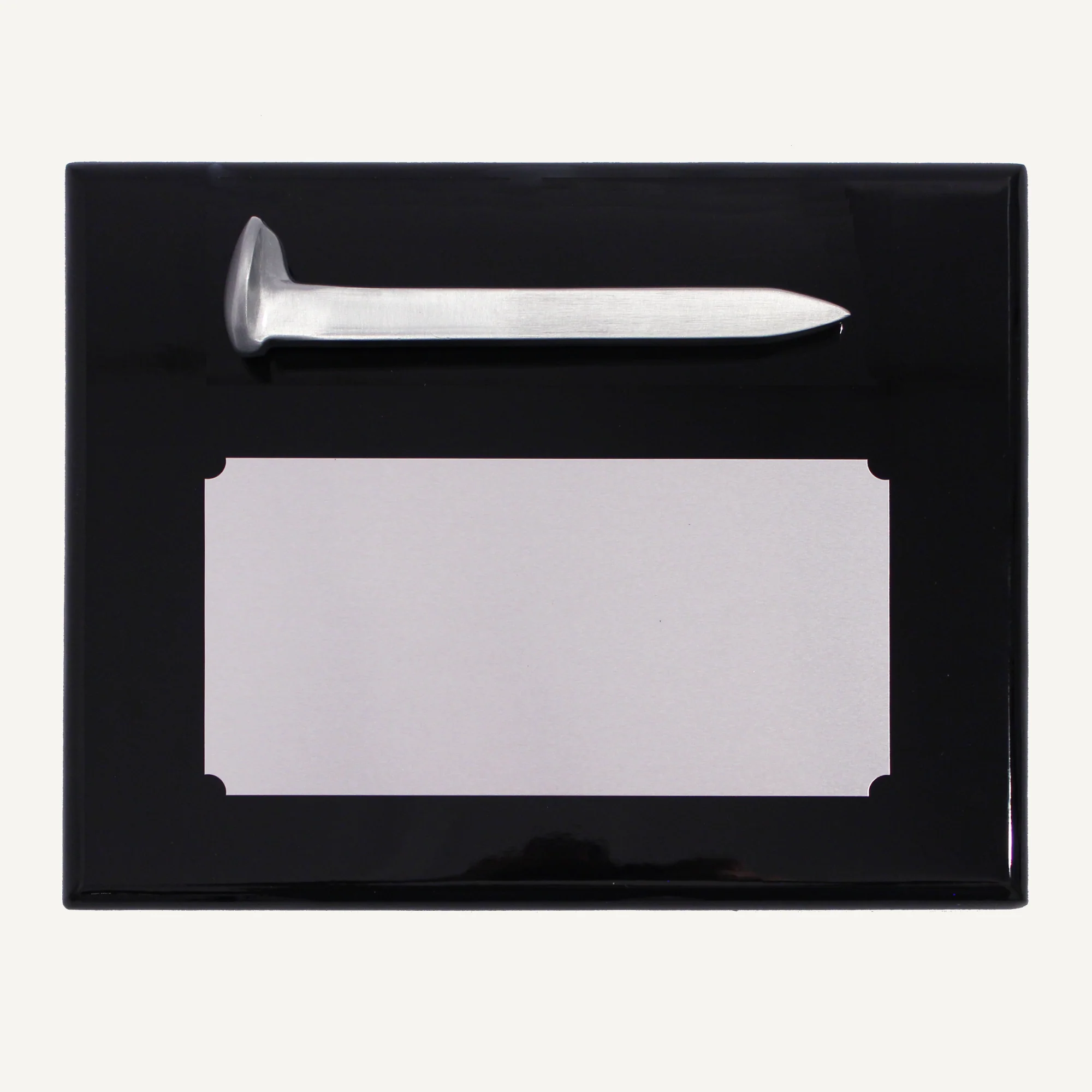 Satin Silver Ceremonial Railroad Spikes Plaques - Image 9