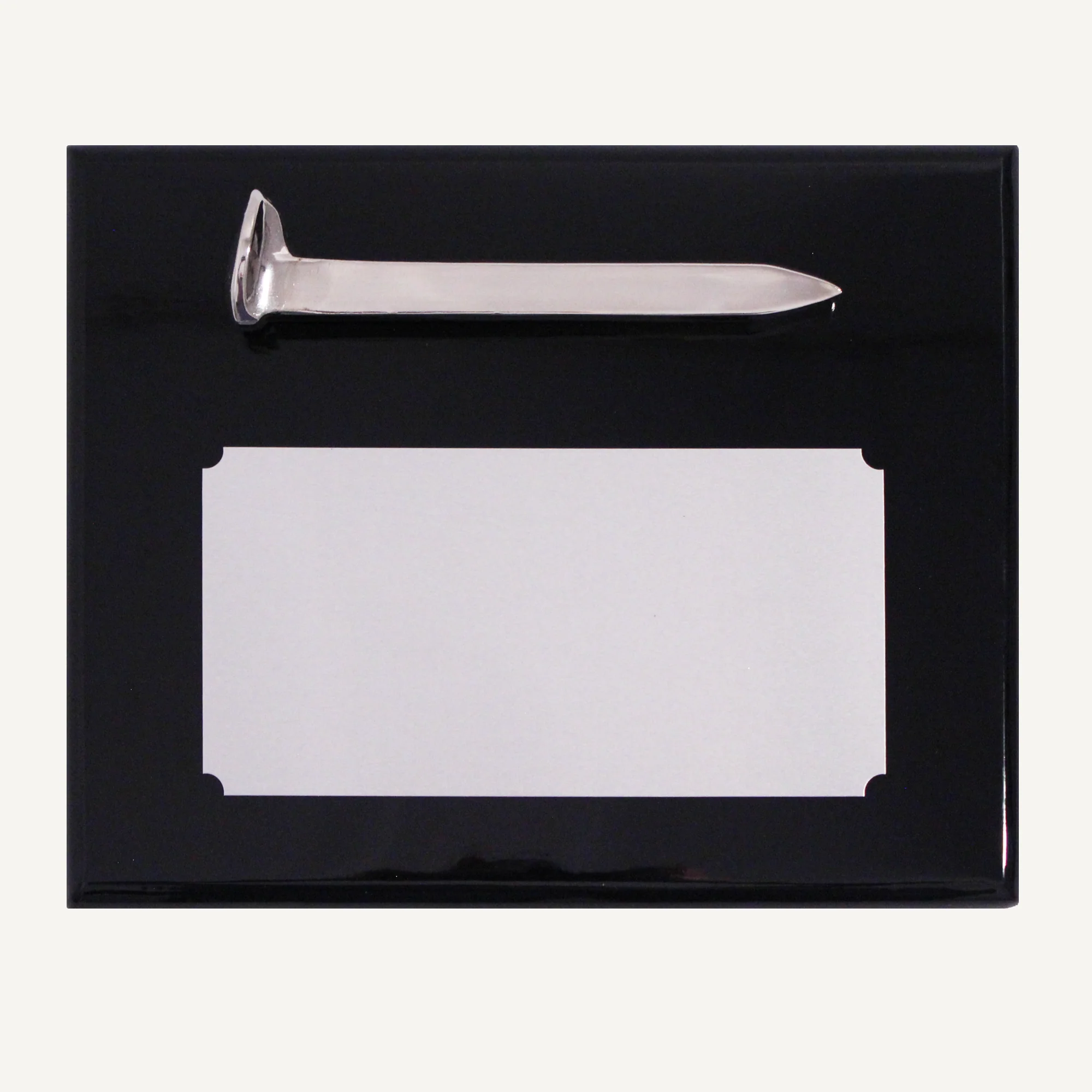 Silver Plated Ceremonial Railroad Spikes Plaques - Image 12